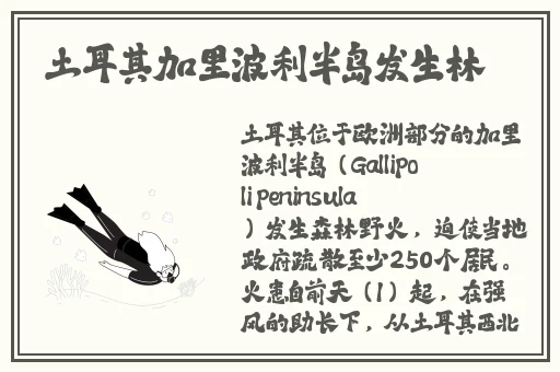 99re热视频这里只有精品